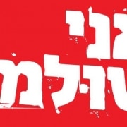 אני שולמן
